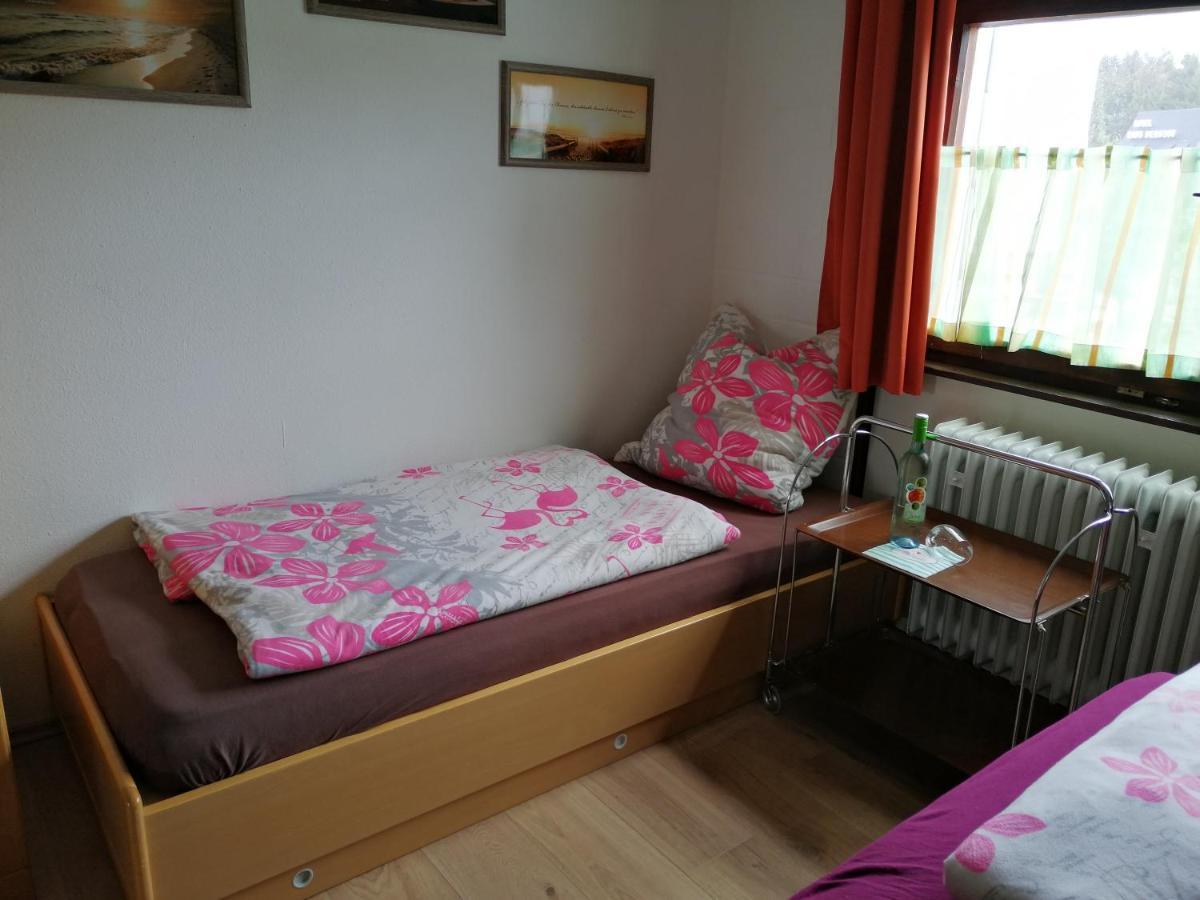 2 Raum Ferienwohnung Sonnenschein Sankt Englmar Εξωτερικό φωτογραφία